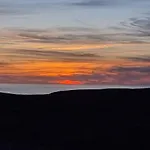Osaya *