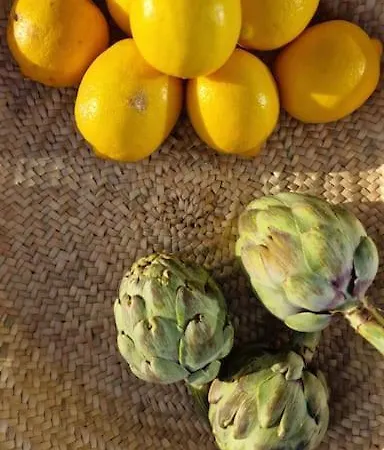 Osaya Tindaya