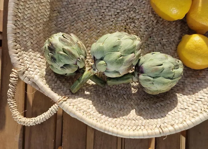 아파트 Osaya 틴다야