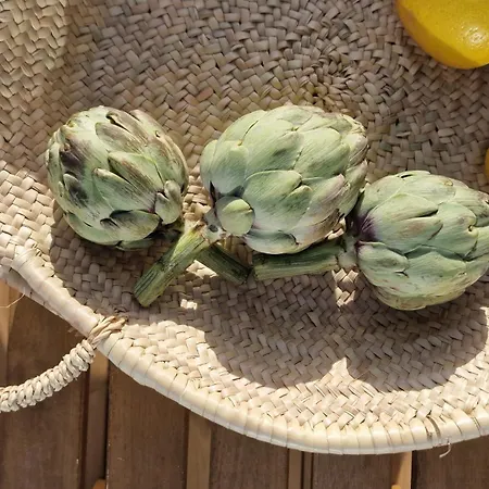 아파트 Osaya 틴다야